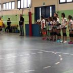 volley