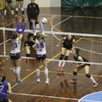 volley