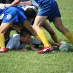 rugby