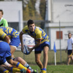 rugby