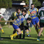 rugby