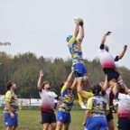 rugby