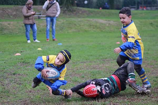 rugby