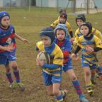 rugby