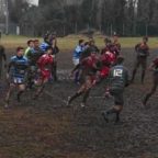 rugby