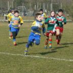 rugby