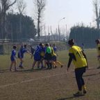 rugby