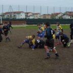 rugby