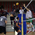 volley