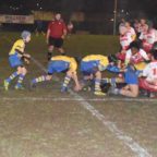 rugby