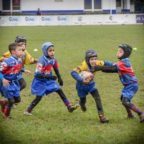 minirugby